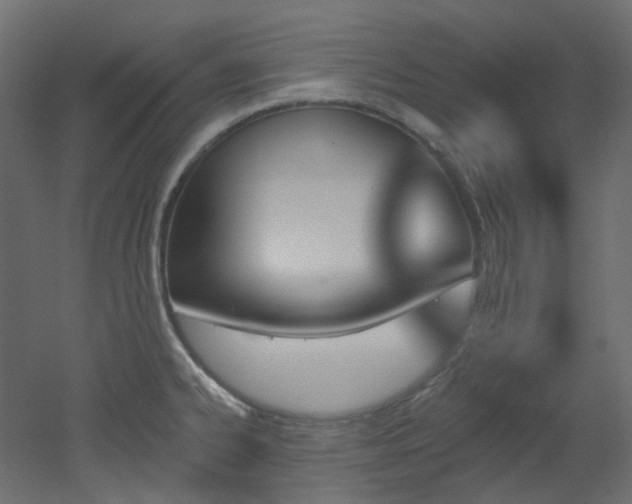 X0000051921334200506241459