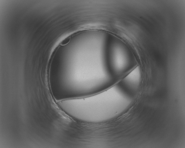 X0000051921336200506241459