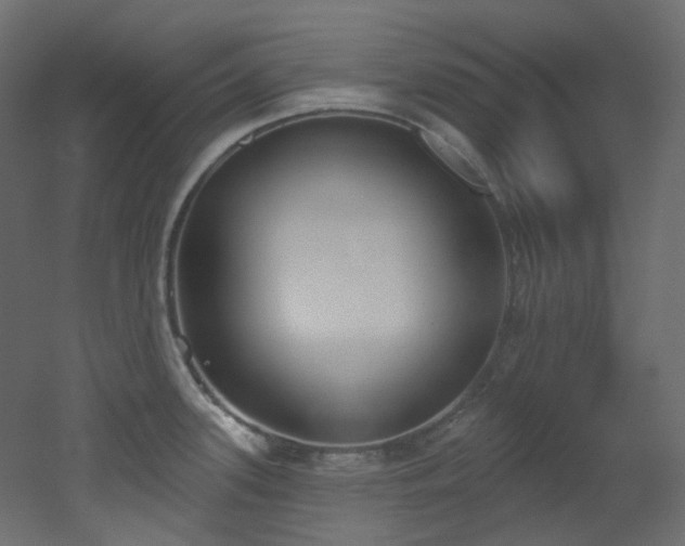X0000051921339200506241459