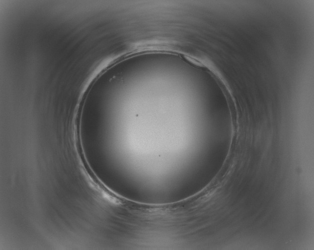 X0000051921341200506241459