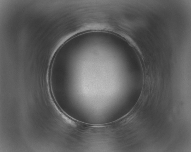 X0000051921343200506241459