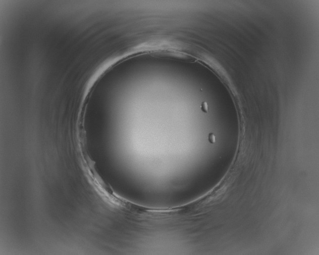 X0000051921344200506241459