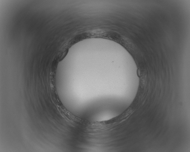 X0000051921346200506241458