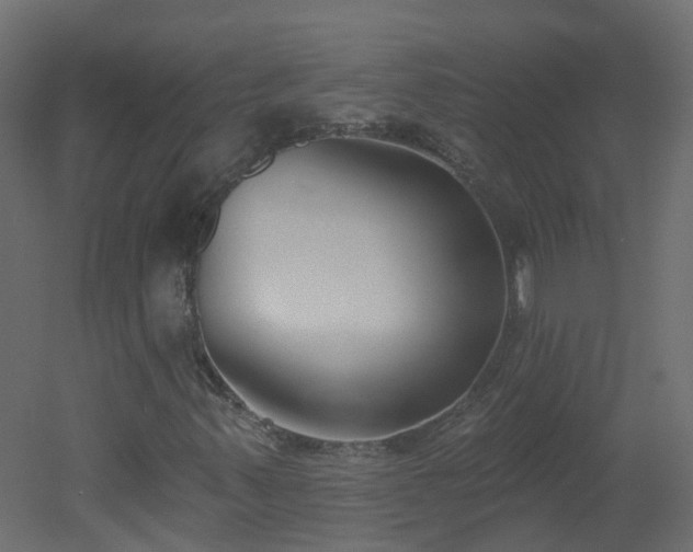 X0000051921347200506241458