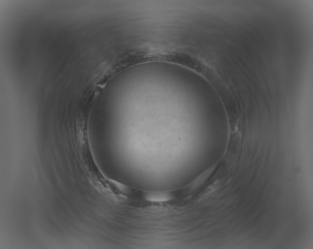 X0000051921348200506241458