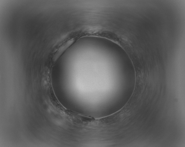 X0000051921349200506241458