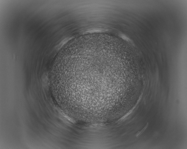 X0000051921353200506241458