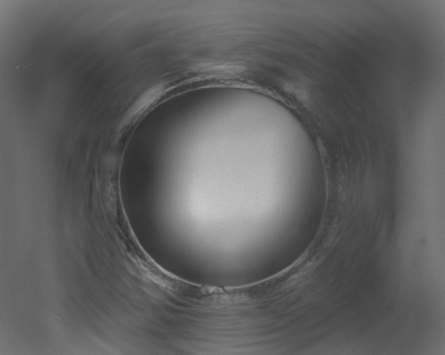 X0000051921354200506241458