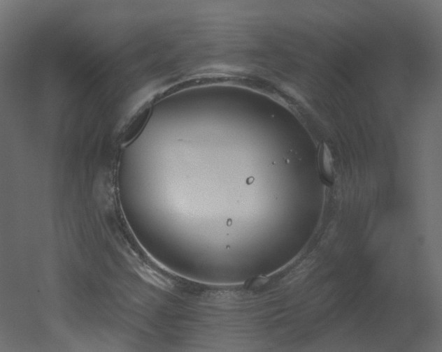 X0000051921355200506241458