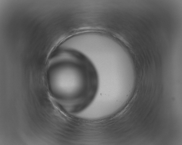 X0000051921357200506241458