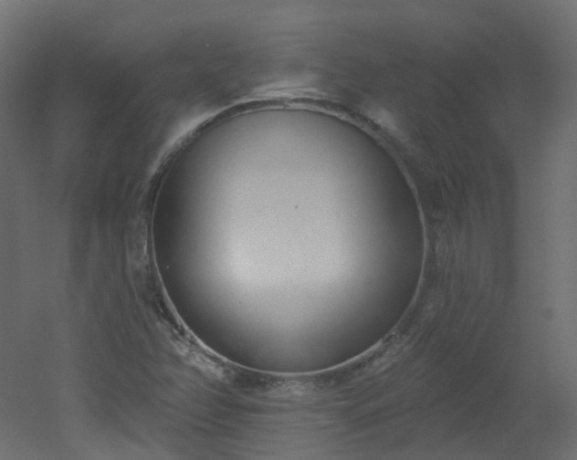 X0000051921358200506241458