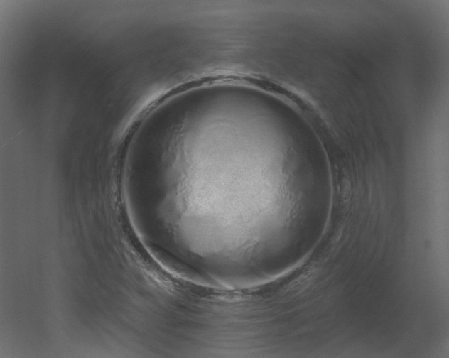 X0000051921359200506241458