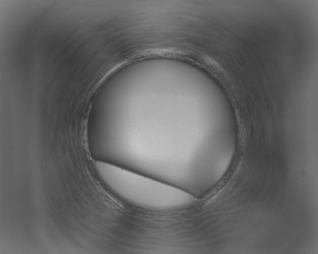 X0000051921361200506241458