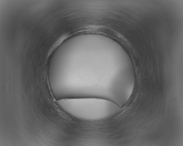 X0000051921362200506241458