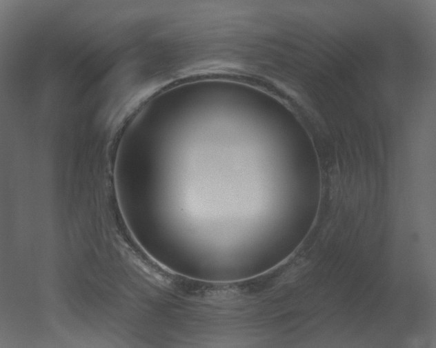 X0000051921363200506241458