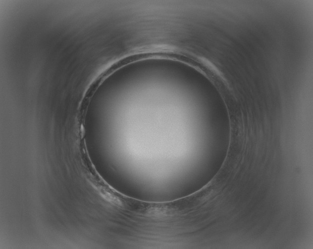 X0000051921364200506241458