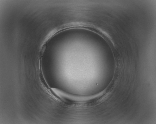 X0000051921365200506241458