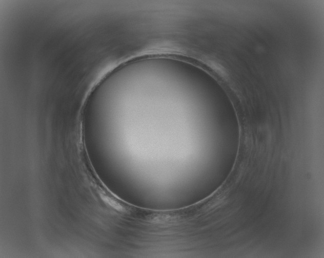 X0000051921366200506241458