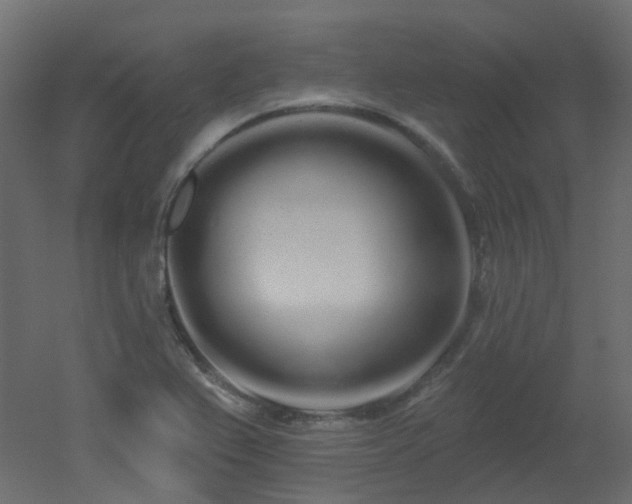 X0000051921367200506241458