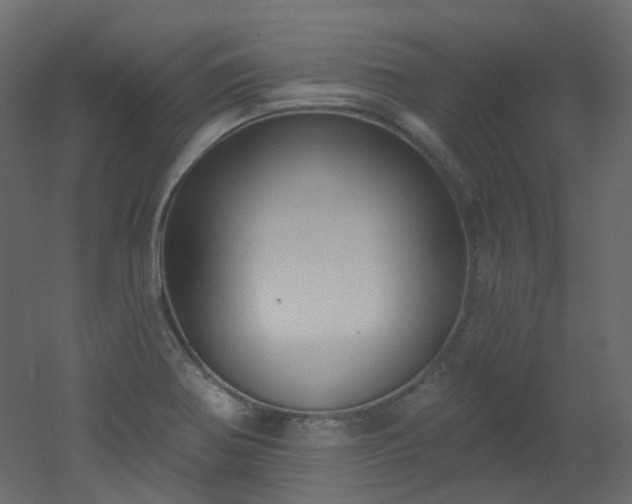 X0000051921370200506241458