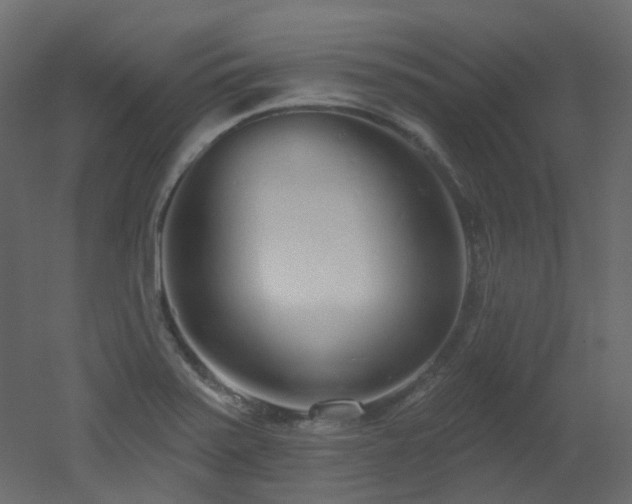 X0000051921371200506241458
