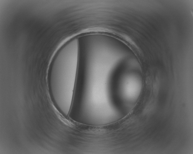 X0000051921372200506241458