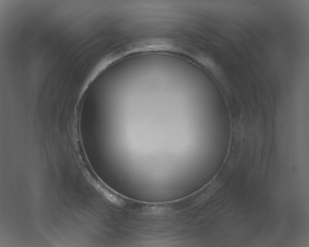 X0000051921374200506241458