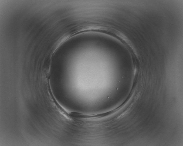 X0000051921377200506241458