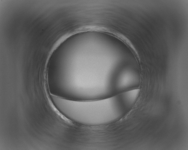 X0000051921381200506241458