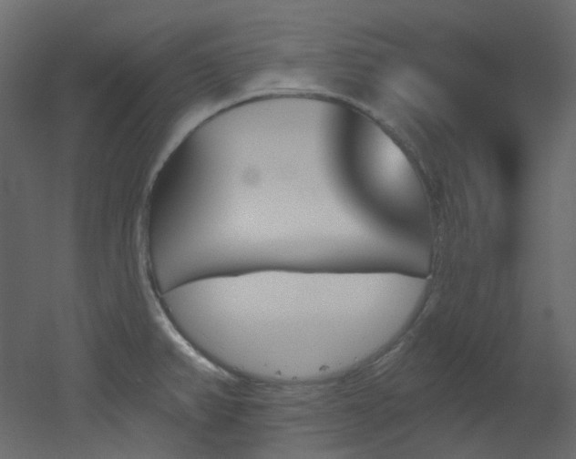 X0000051921382200506241458