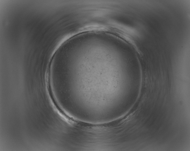 X0000051921383200506241458