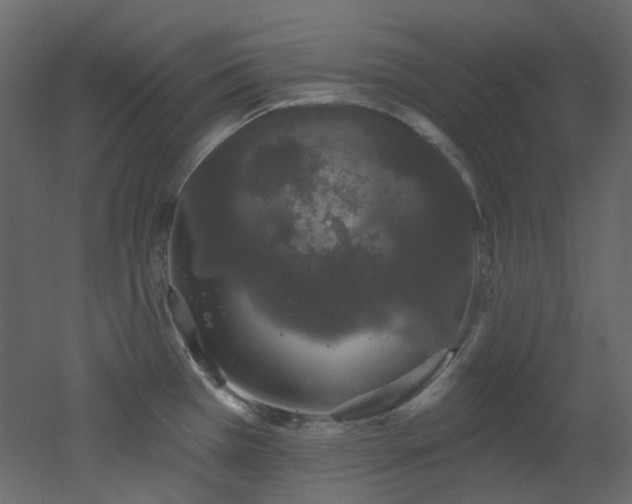 X0000051921385200506241457