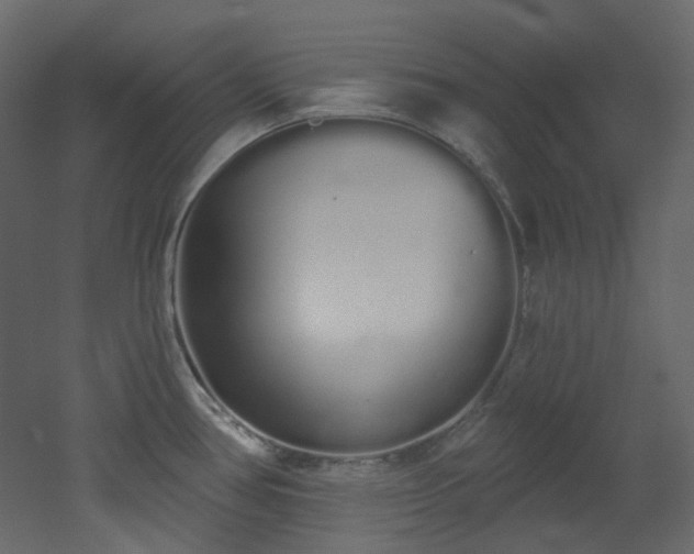 X0000051921386200506241457