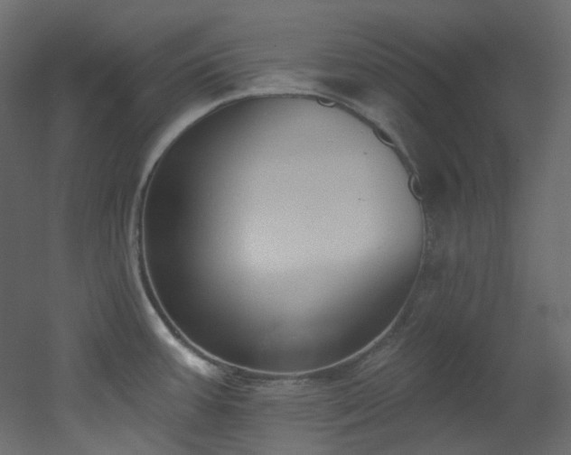 X0000051921387200506241457