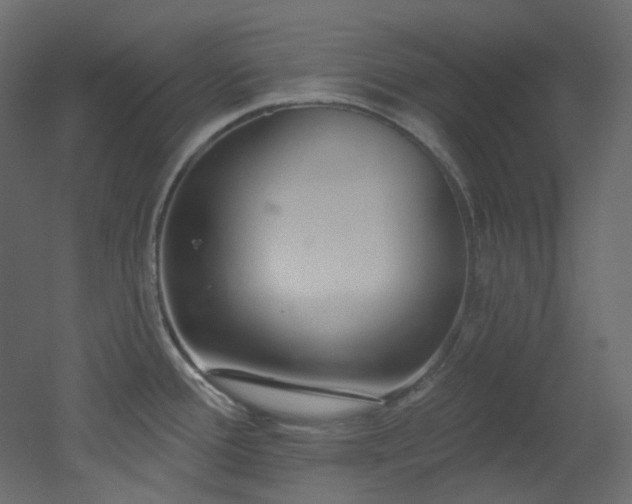 X0000051921388200506241457