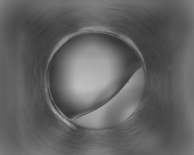 X0000051921389200506241457