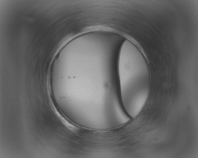 X0000051921391200506241457