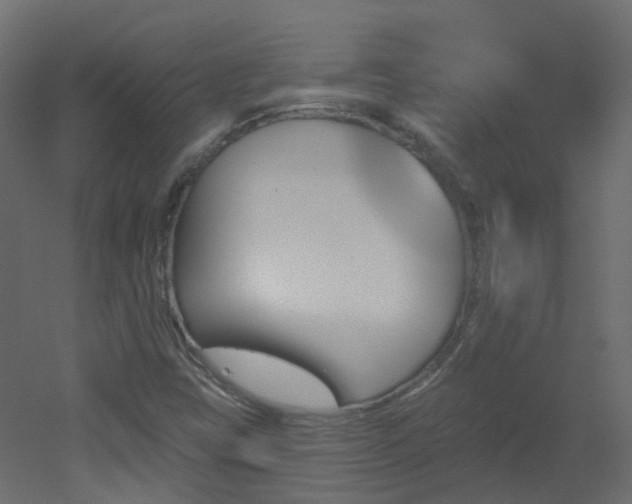 X0000051921403200506241457