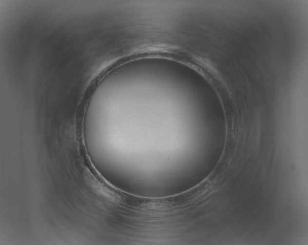 X0000051921404200506241457