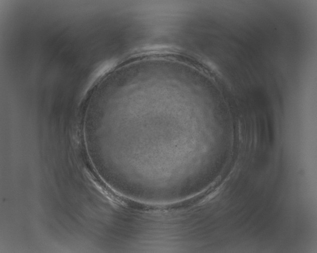 X0000051921405200506241457