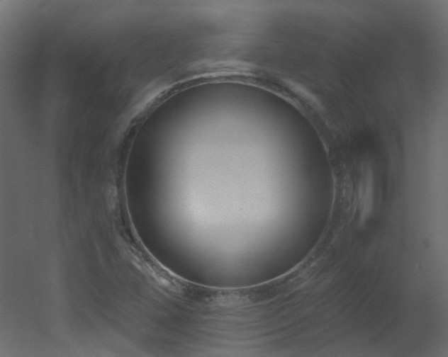 X0000051921407200506241457