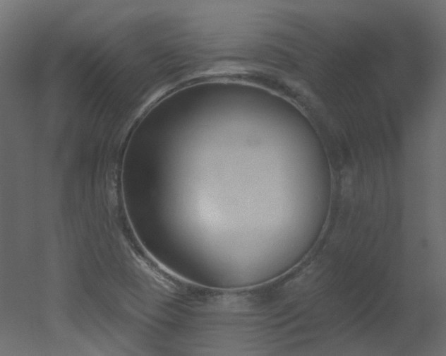 X0000051921409200506241457