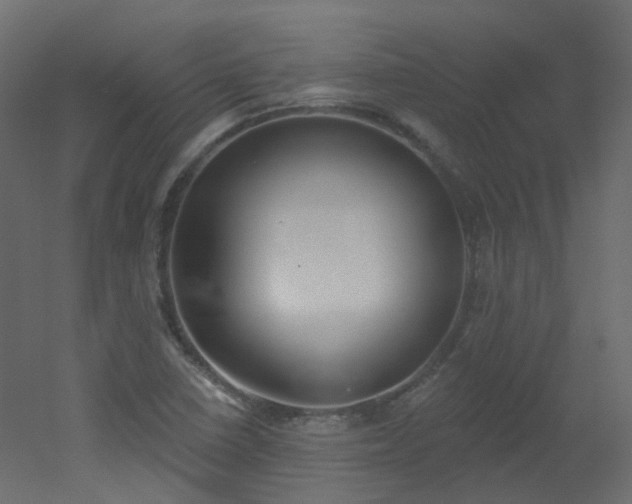 X0000051921410200506241457