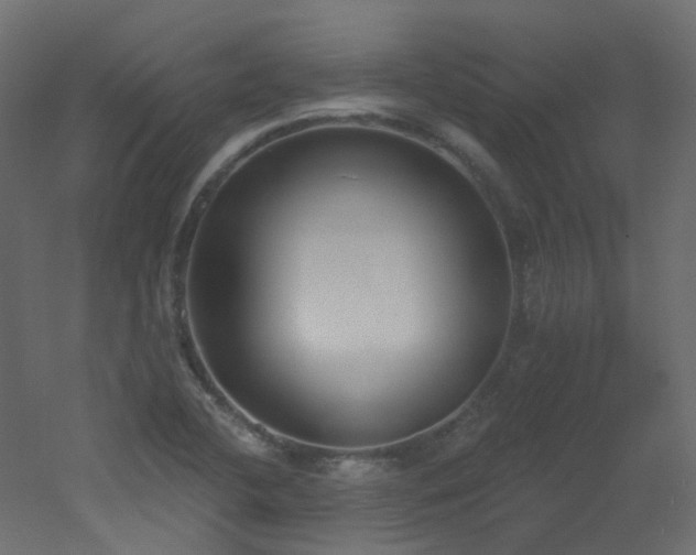 X0000051921412200506241457