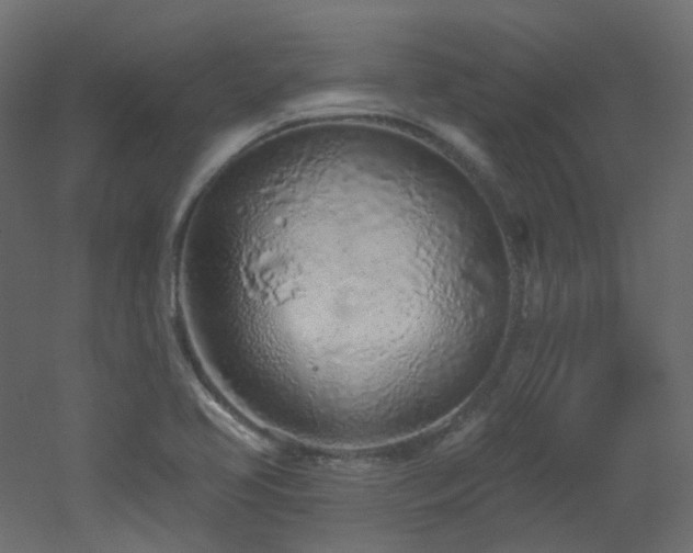 X0000051921413200506241457