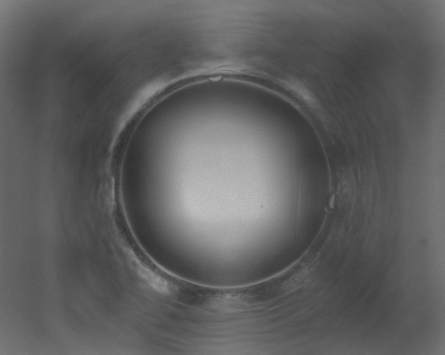 X0000051921414200506241457