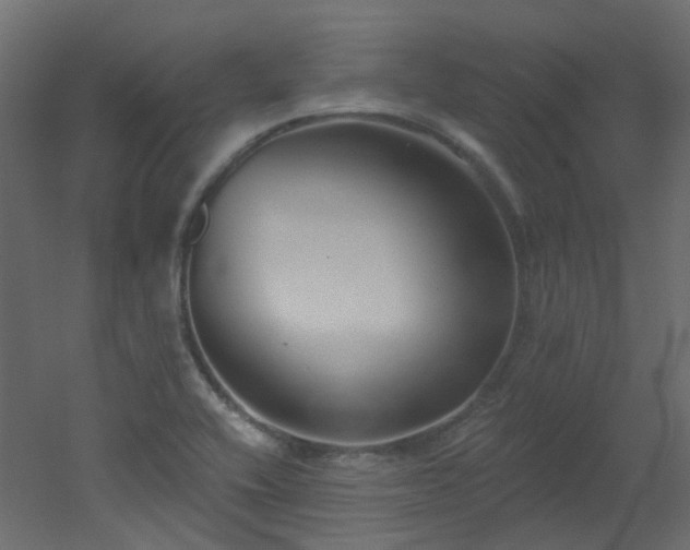 X0000051921416200506241457