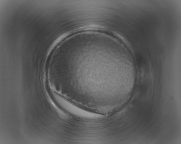 X0000051921418200506241457