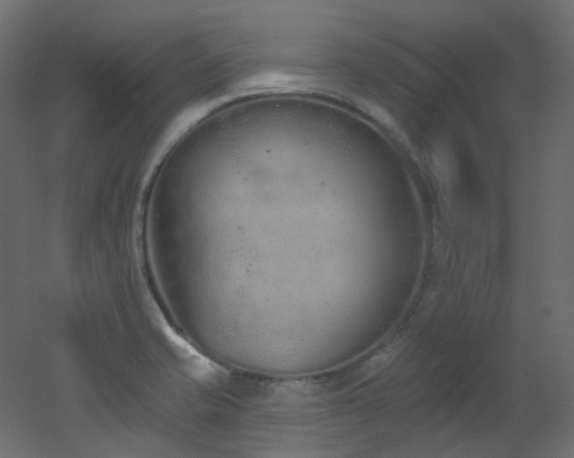 X0000051921421200506241457