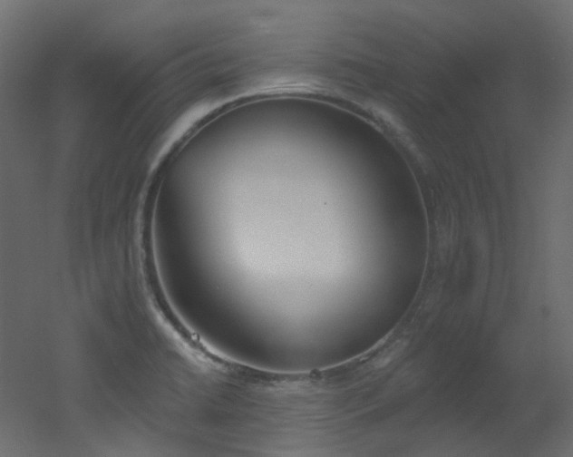 X0000051921422200506241457